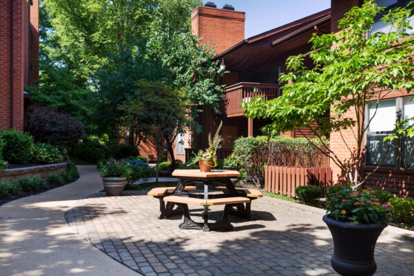 A courtyard with landscaping and sunlight at Chesterfield Village Apartments
