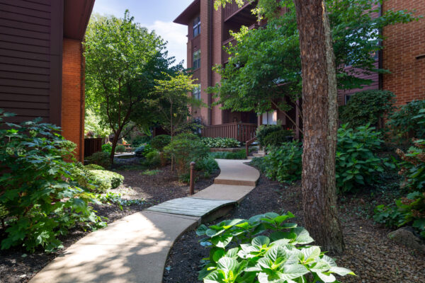A shaded path to apartments at Chesterfield Village Apartments